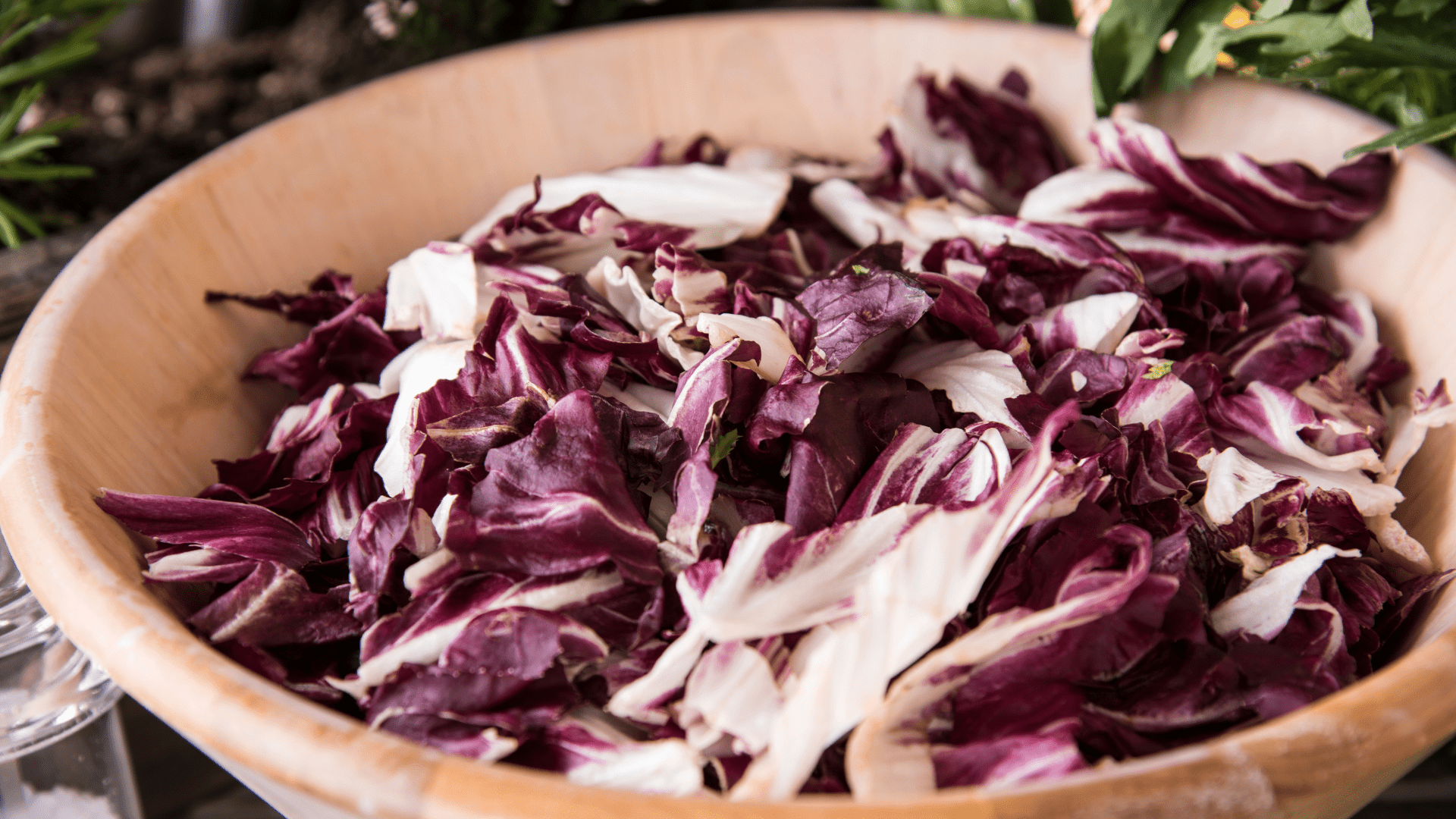 Il radichhio di Chioggia IGP