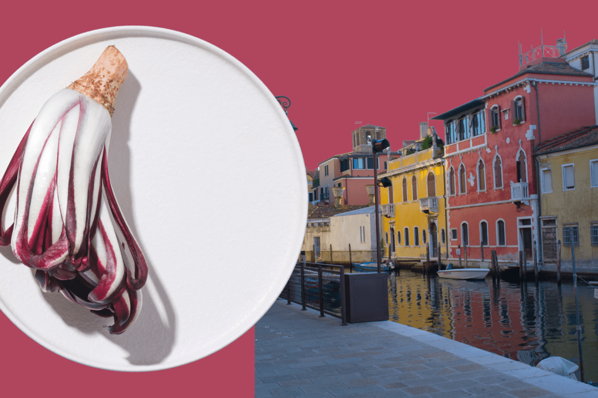 Il radicchio di Chioggia IGP: una prelibatezza da gustare