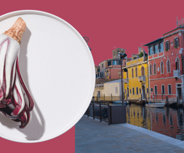 Il radicchio di Chioggia IGP: una prelibatezza da gustare