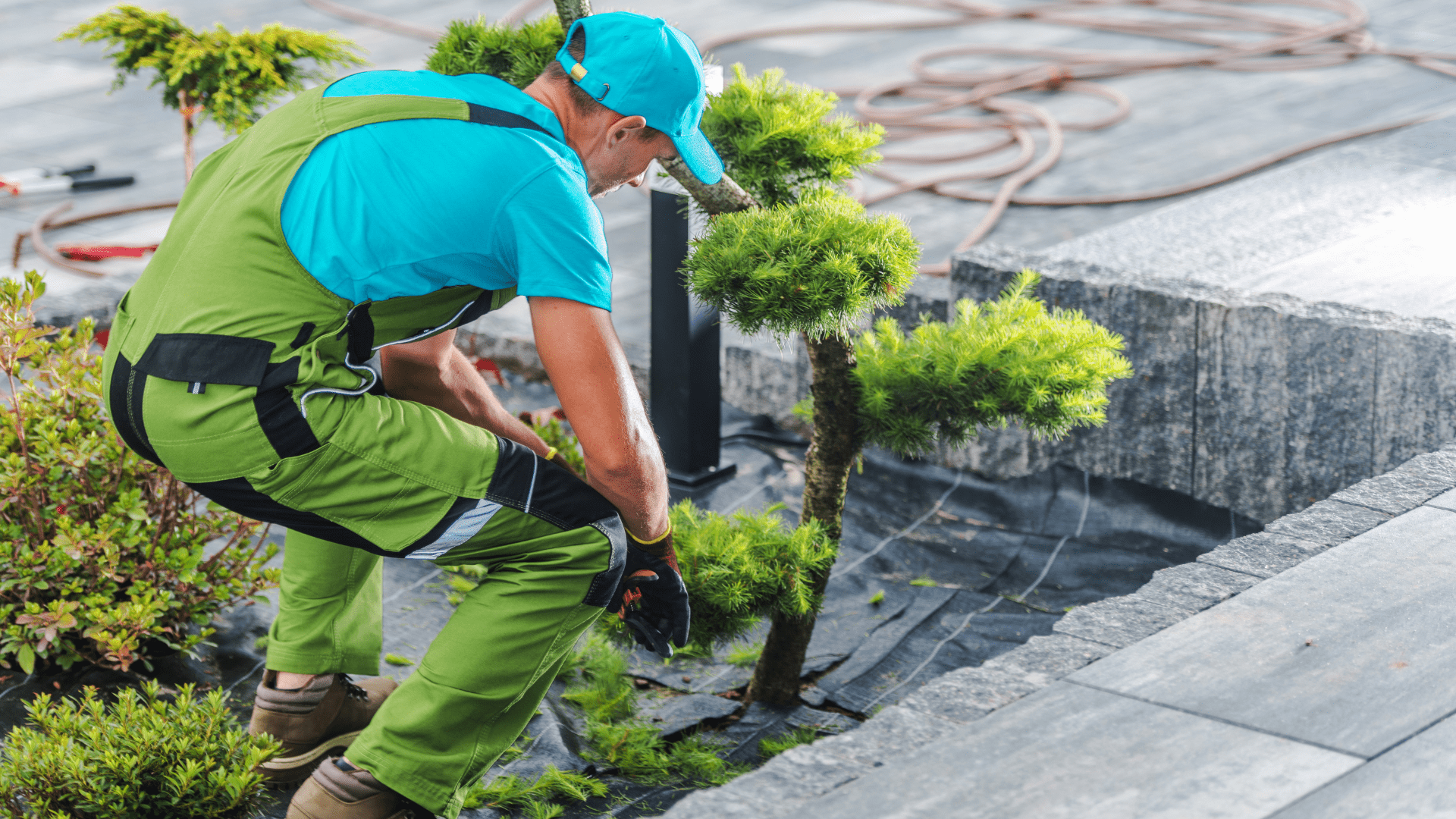 2M Giardinieri: Il tuo partner per un giardino perfetto