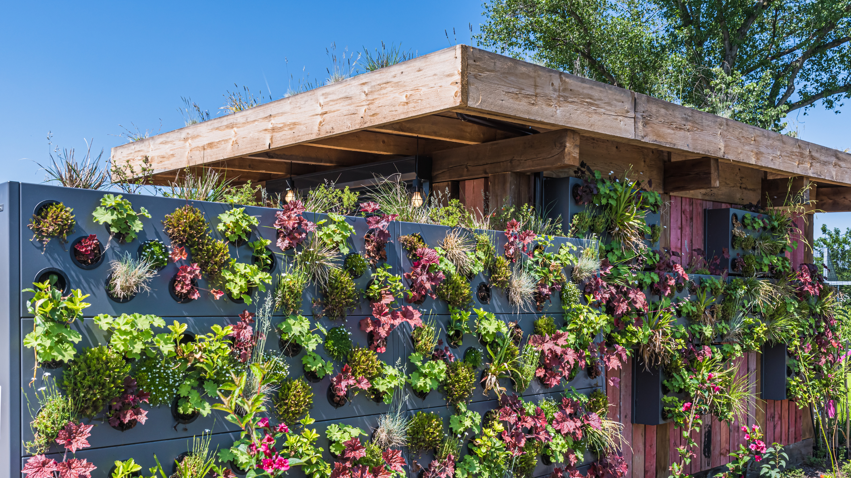 2M Giardinieri: Il tuo partner per un giardino perfetto