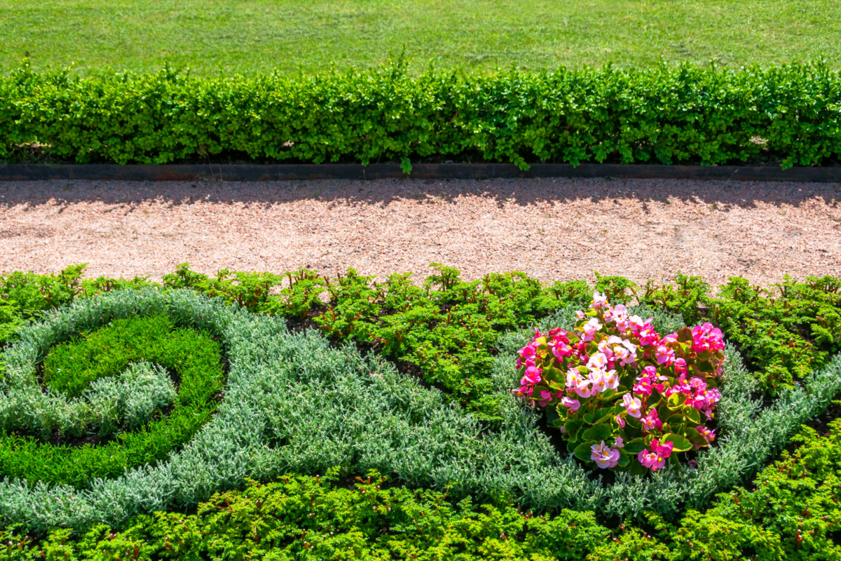 Il tuo giardino, un’opera d’arte vivente: l’importanza di ogni fase